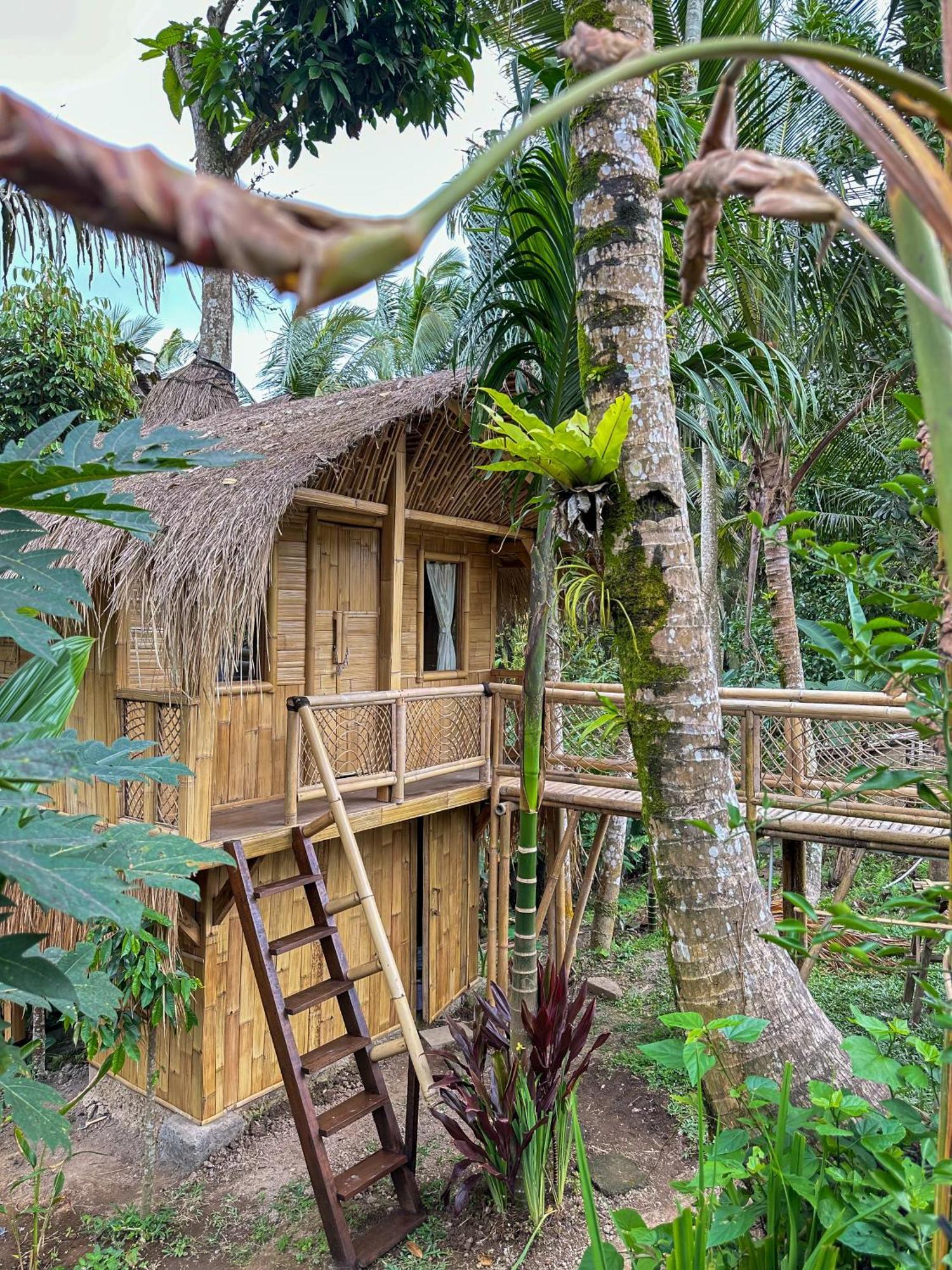 Kawig Bamboo House - Ricefield View, Eco Bamboo Home Tampaksiring Εξωτερικό φωτογραφία