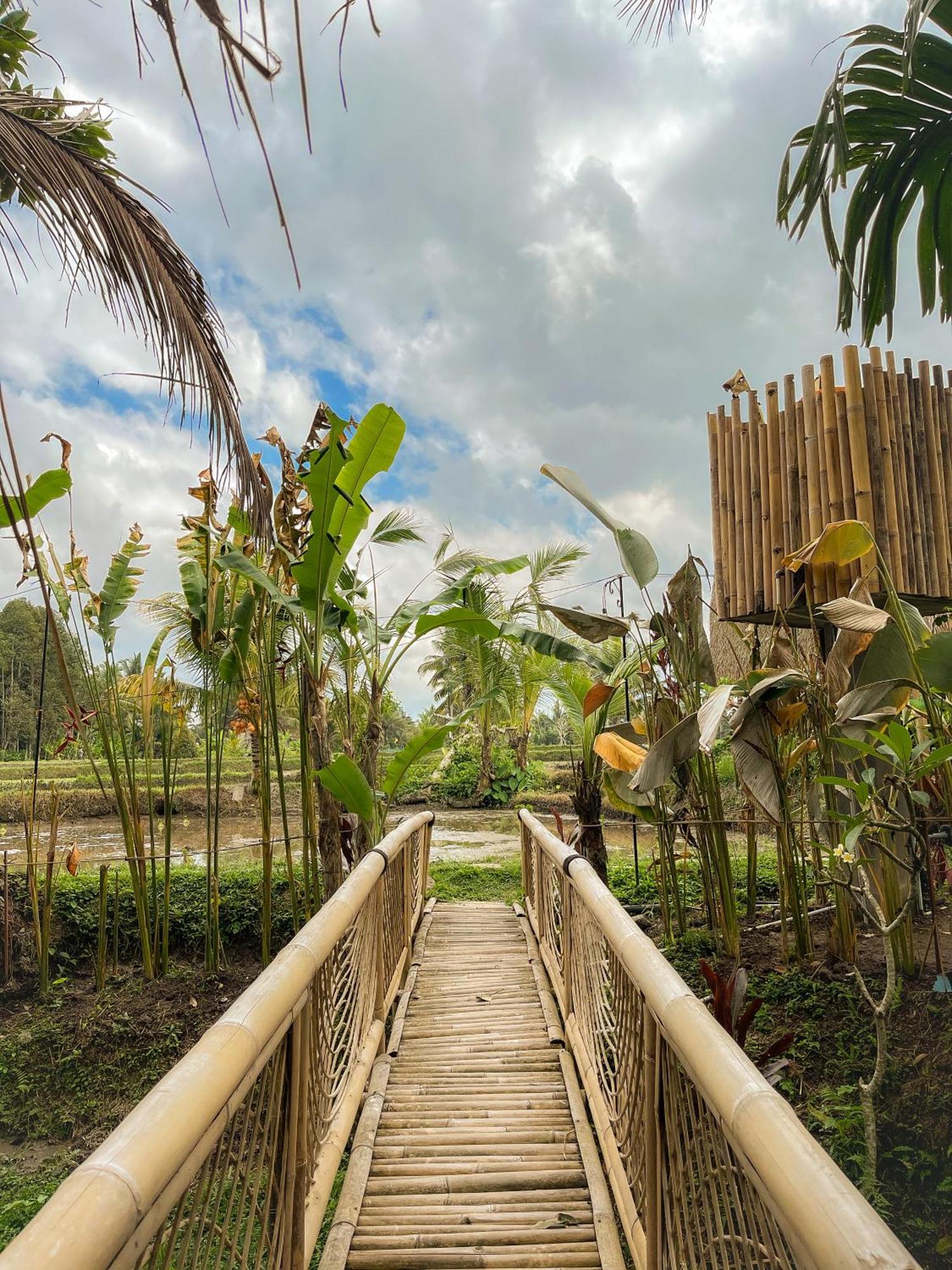 Kawig Bamboo House - Ricefield View, Eco Bamboo Home Tampaksiring Εξωτερικό φωτογραφία