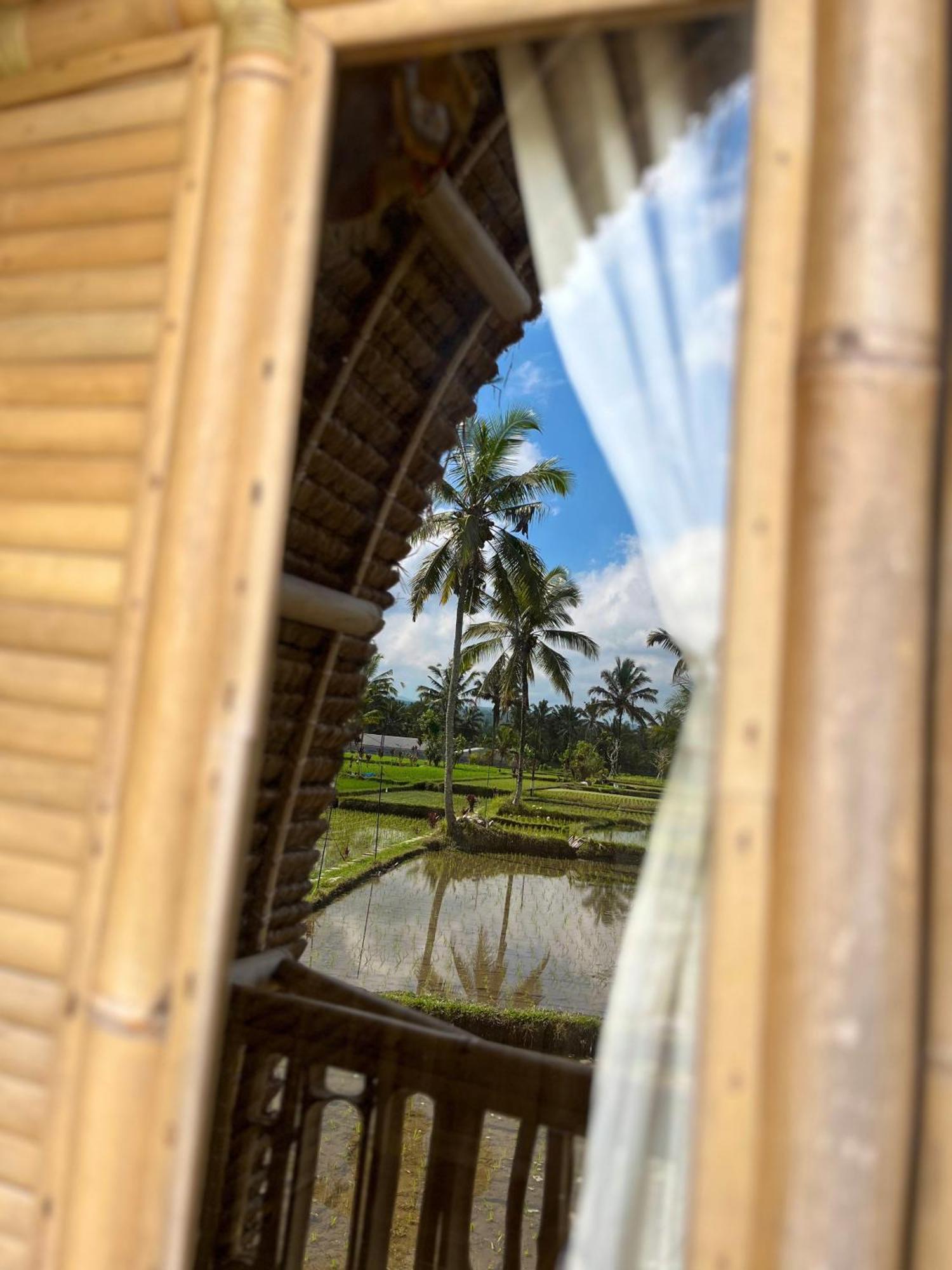Kawig Bamboo House - Ricefield View, Eco Bamboo Home Tampaksiring Εξωτερικό φωτογραφία