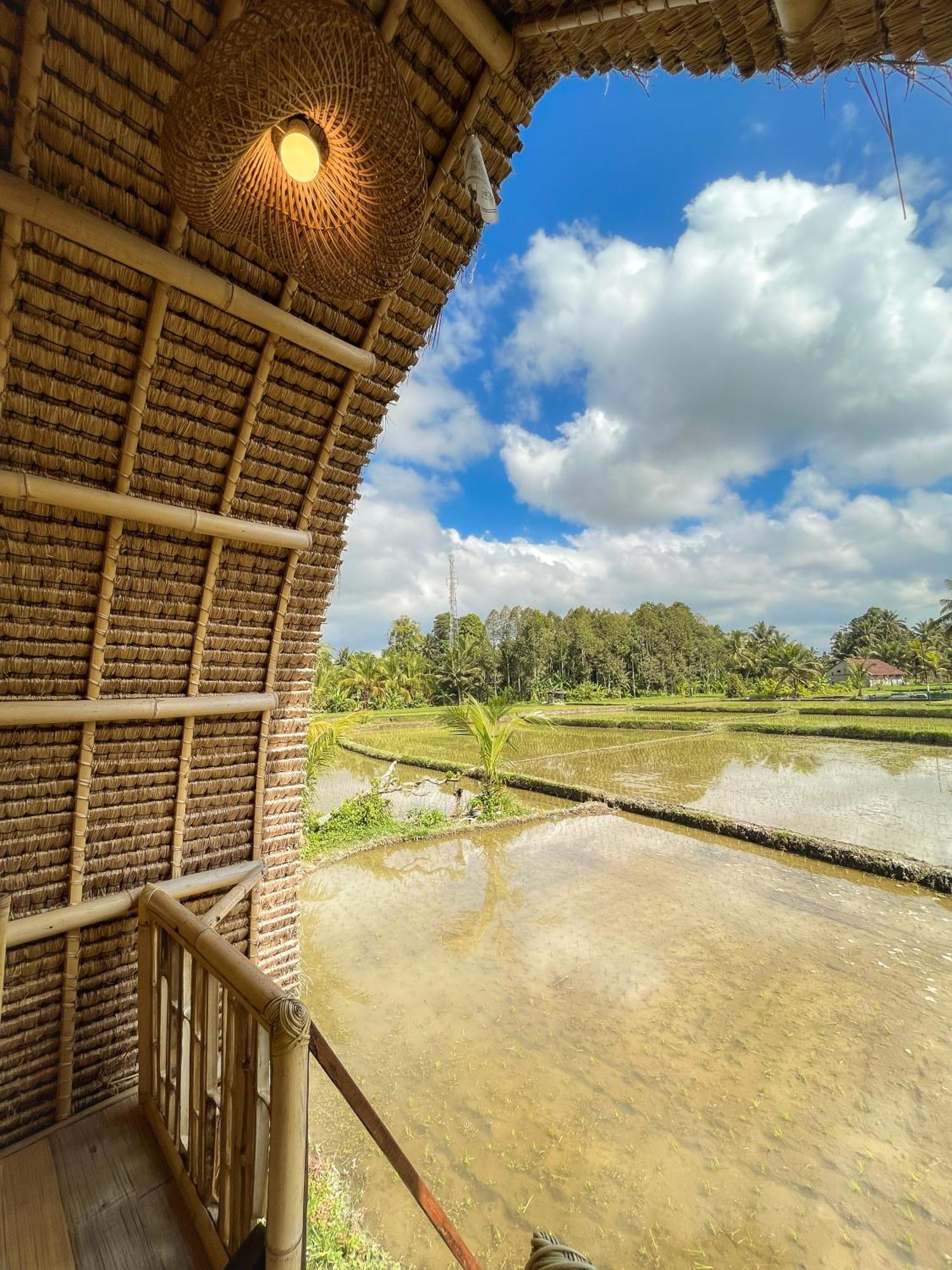 Kawig Bamboo House - Ricefield View, Eco Bamboo Home Tampaksiring Εξωτερικό φωτογραφία