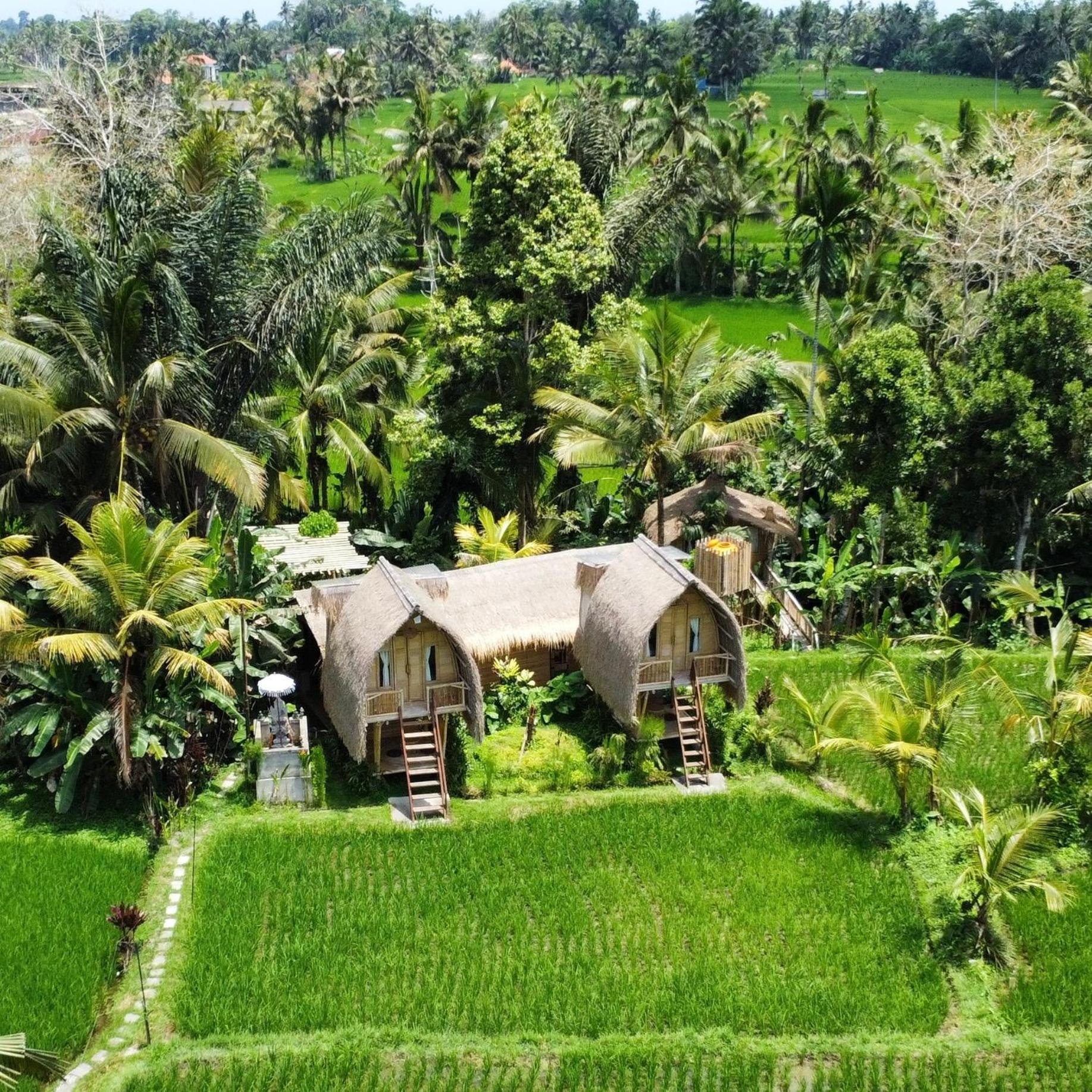 Kawig Bamboo House - Ricefield View, Eco Bamboo Home Tampaksiring Εξωτερικό φωτογραφία
