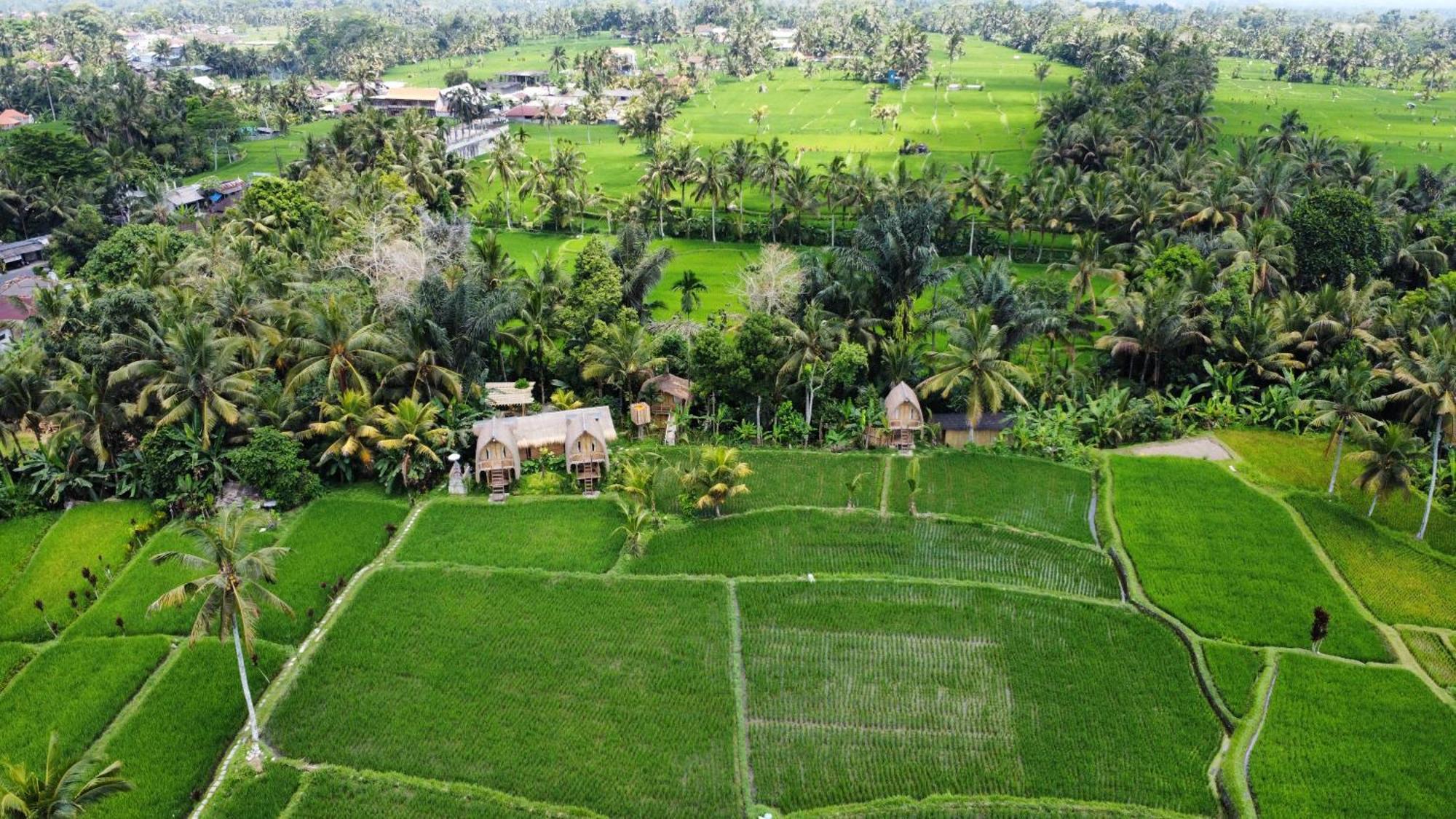 Kawig Bamboo House - Ricefield View, Eco Bamboo Home Tampaksiring Εξωτερικό φωτογραφία