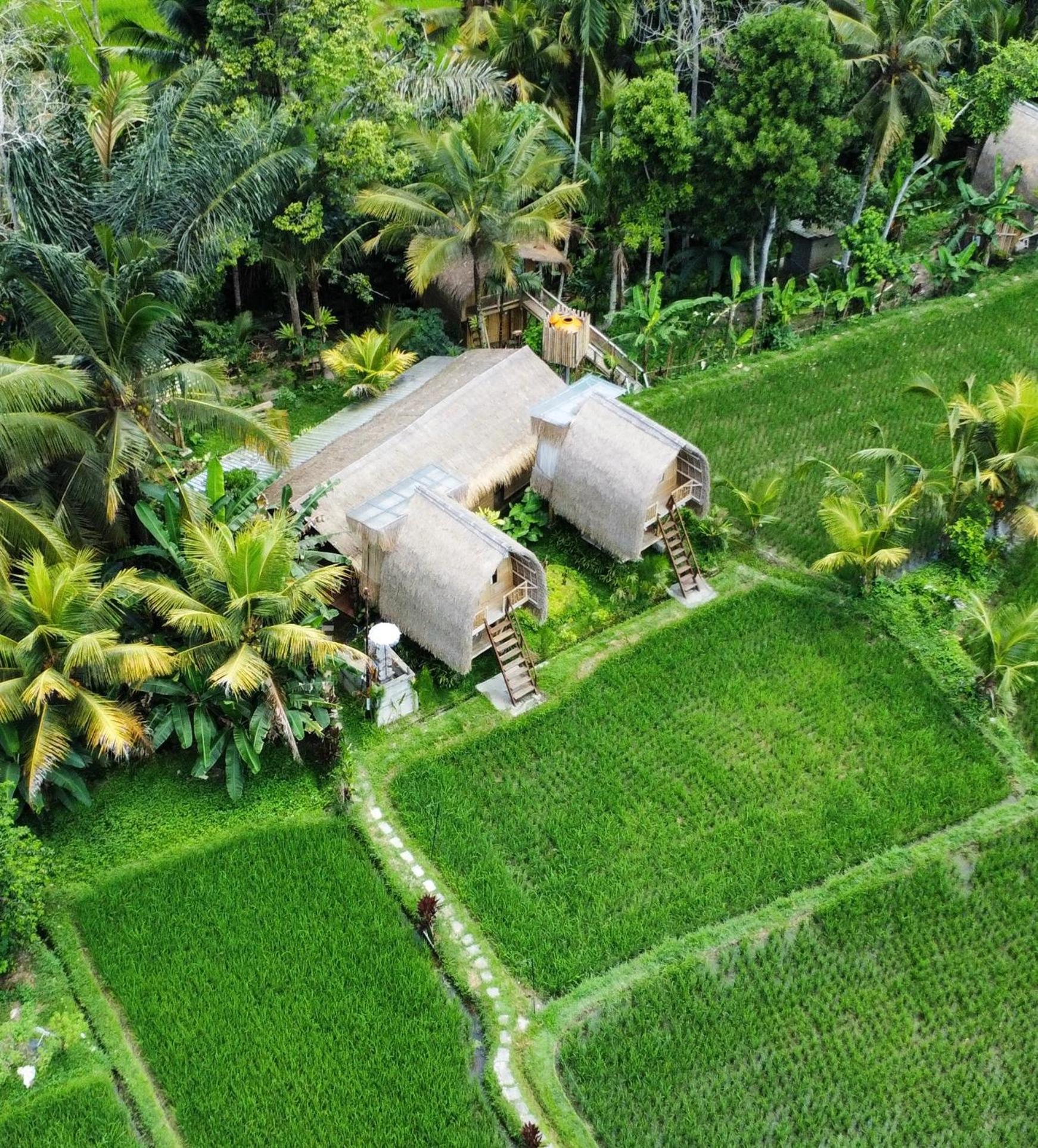 Kawig Bamboo House - Ricefield View, Eco Bamboo Home Tampaksiring Εξωτερικό φωτογραφία